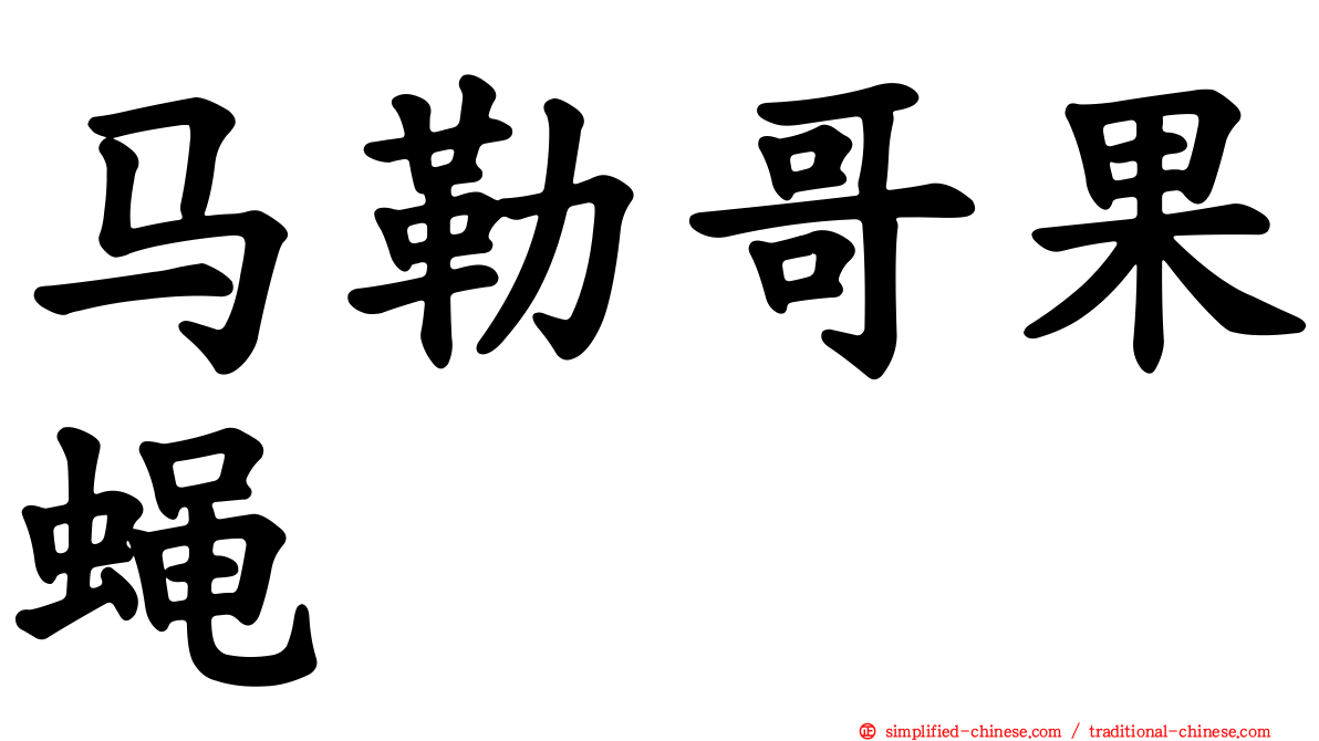 马勒哥果蝇