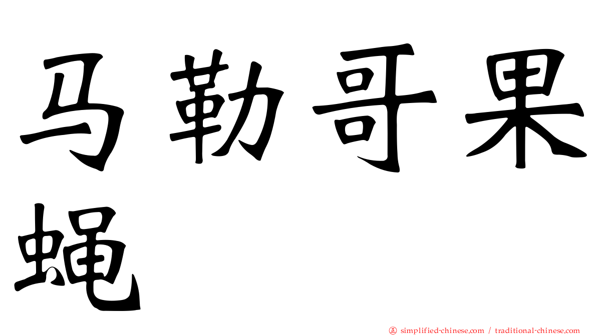 马勒哥果蝇