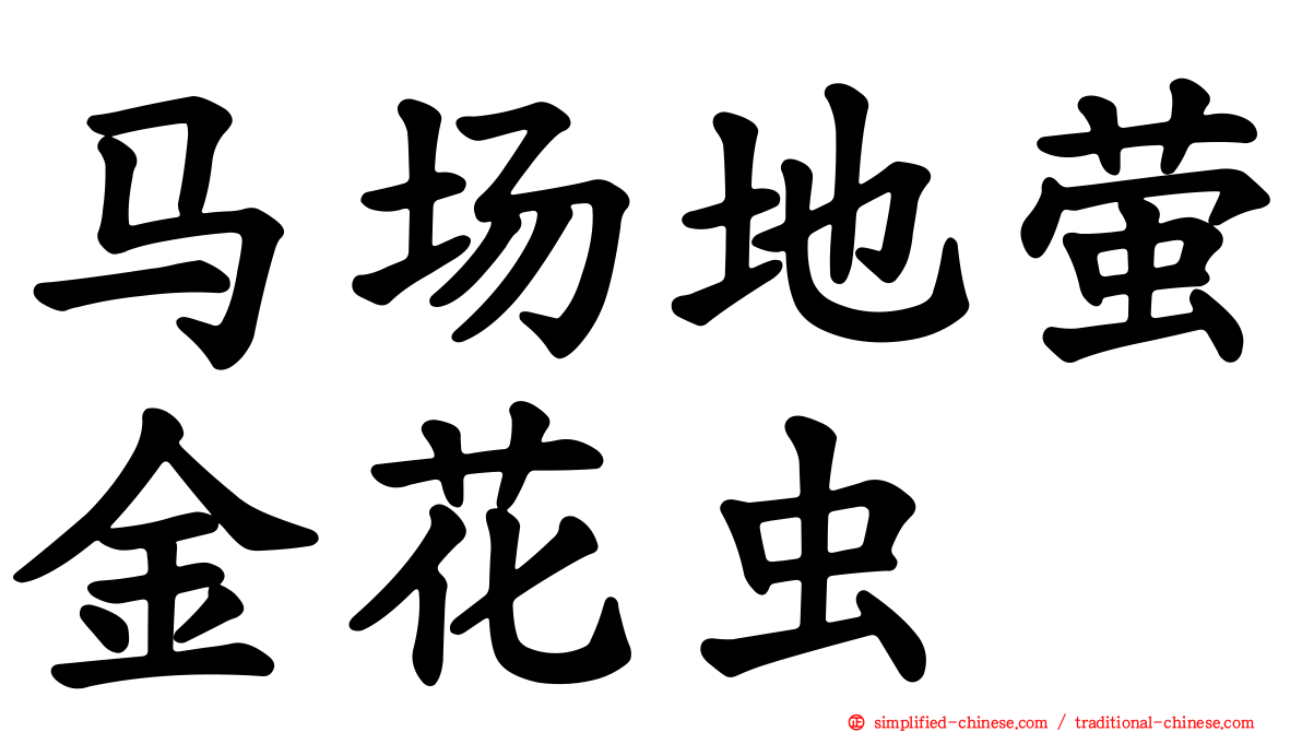 马场地萤金花虫