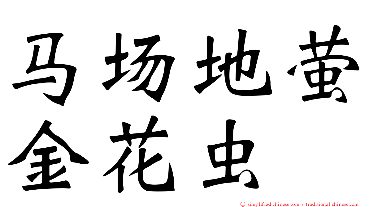 马场地萤金花虫