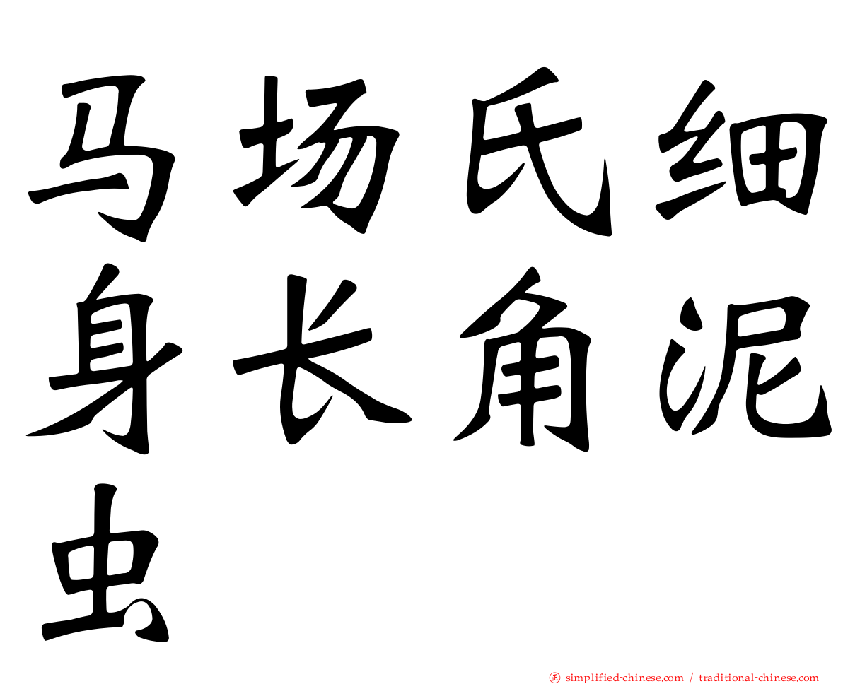 马场氏细身长角泥虫