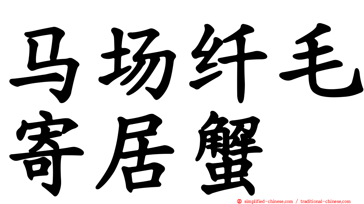 马场纤毛寄居蟹