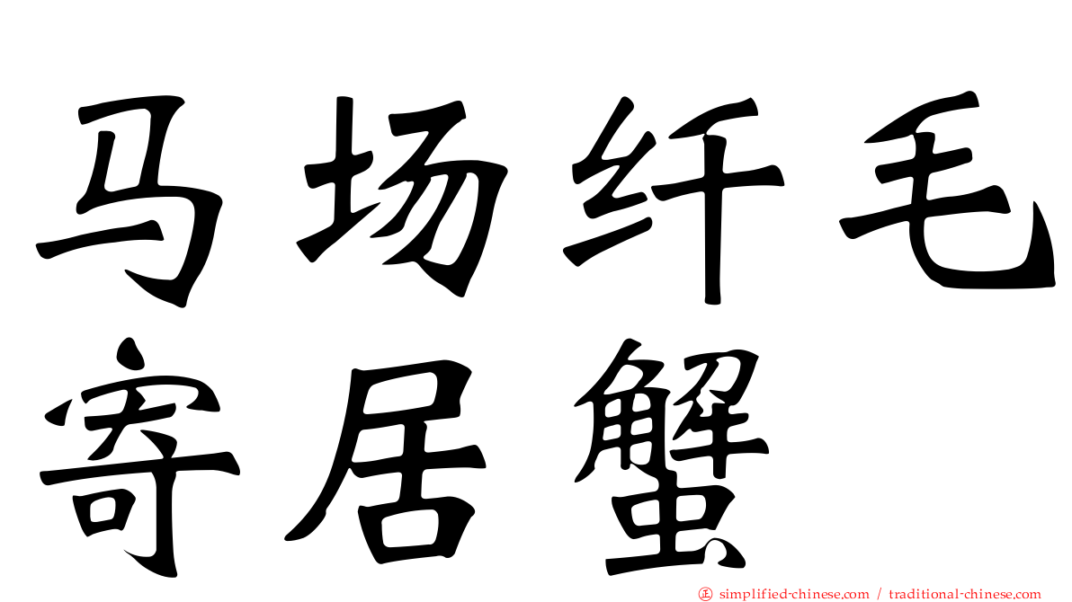 马场纤毛寄居蟹