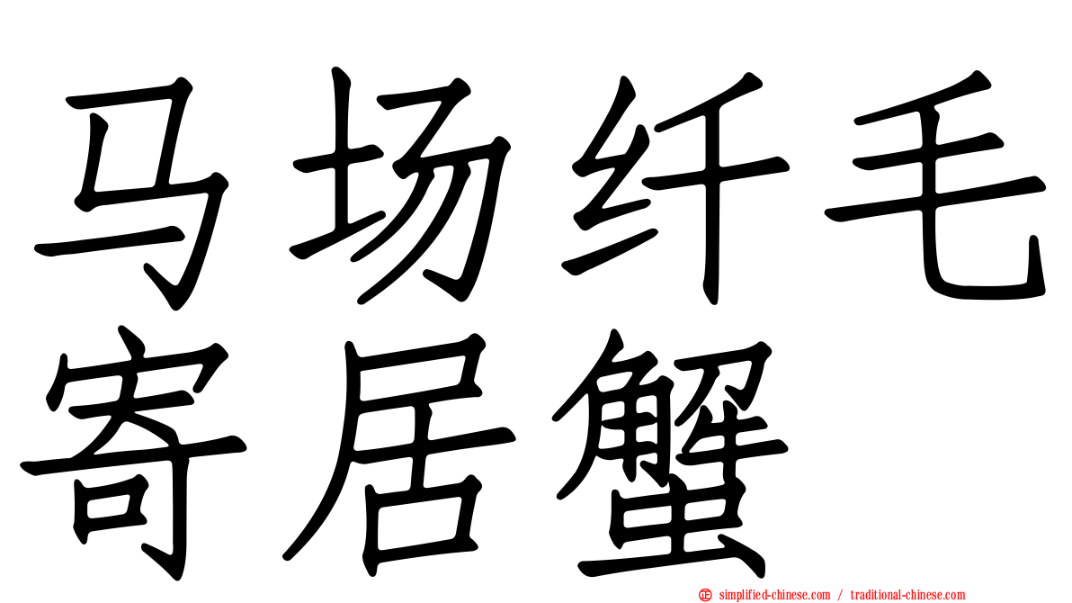 马场纤毛寄居蟹