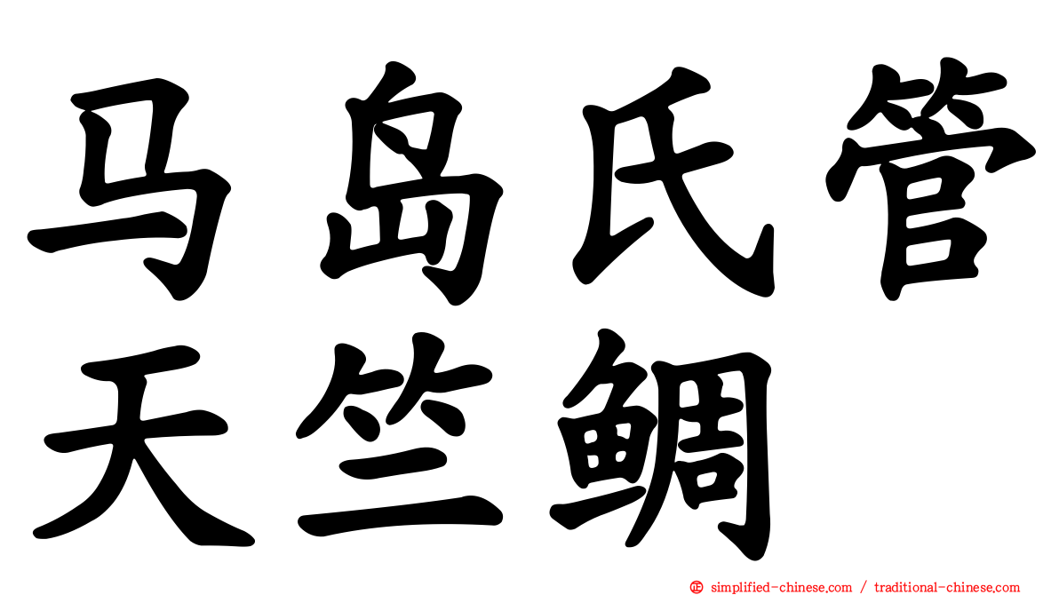 马岛氏管天竺鲷