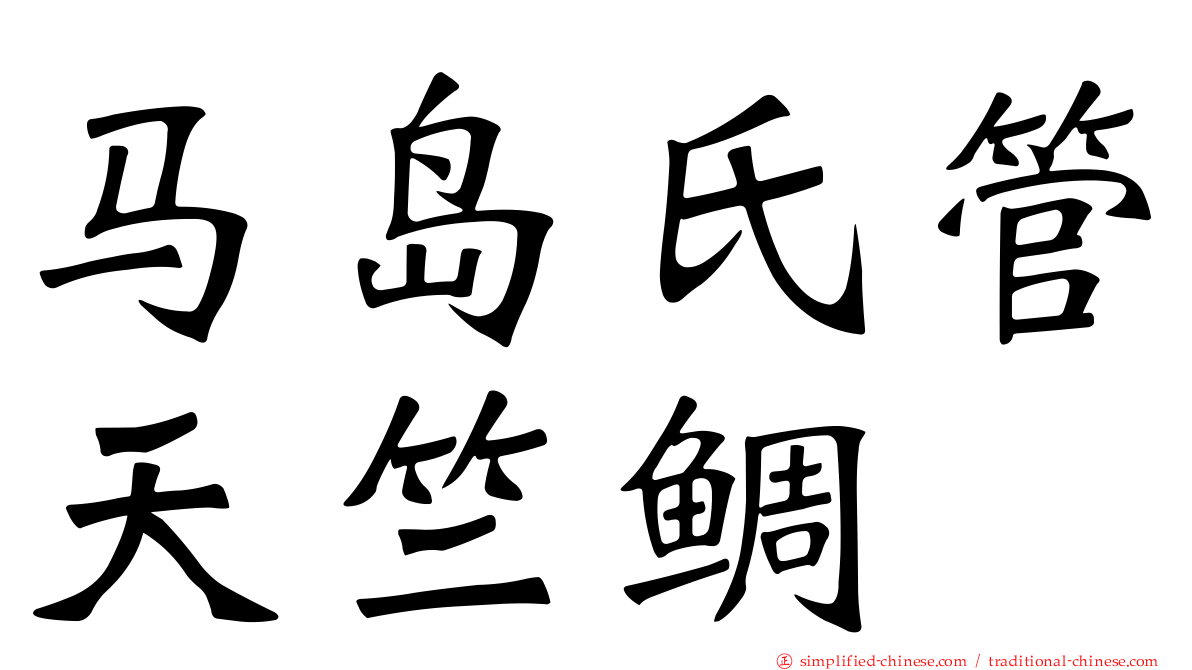马岛氏管天竺鲷
