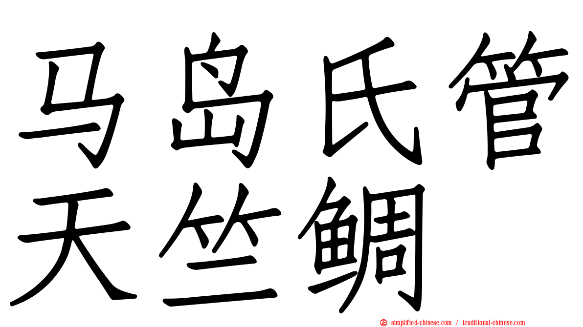 马岛氏管天竺鲷