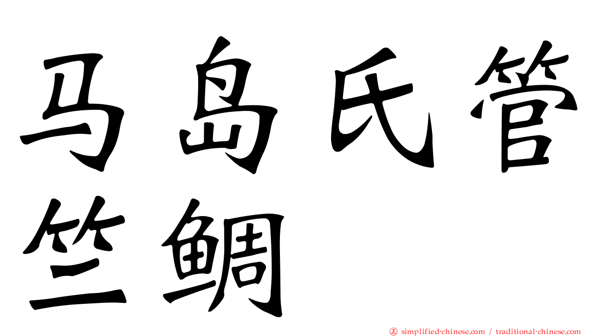 马岛氏管竺鲷