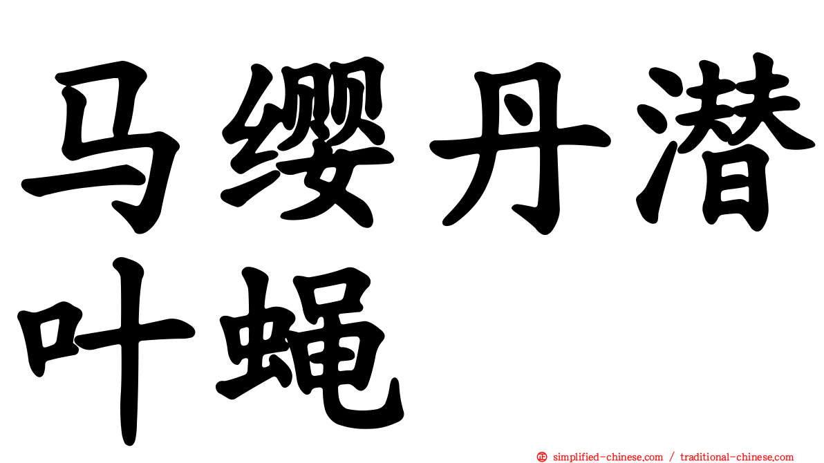 马缨丹潜叶蝇