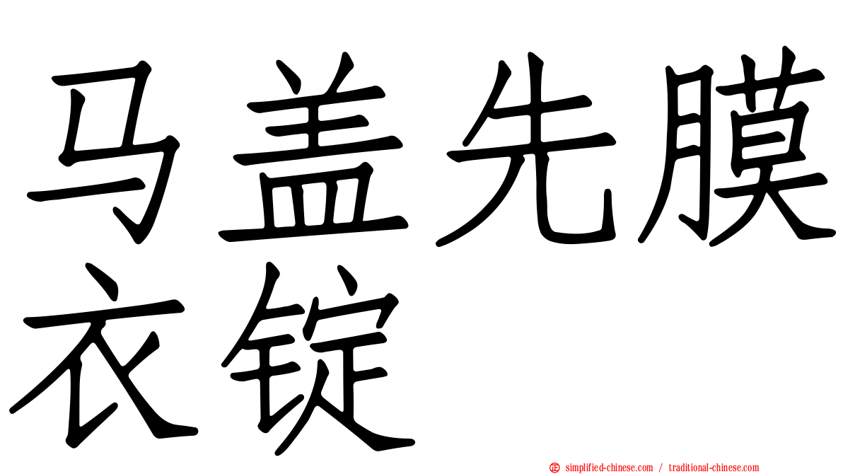 马盖先膜衣锭