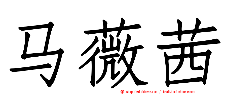 马薇茜