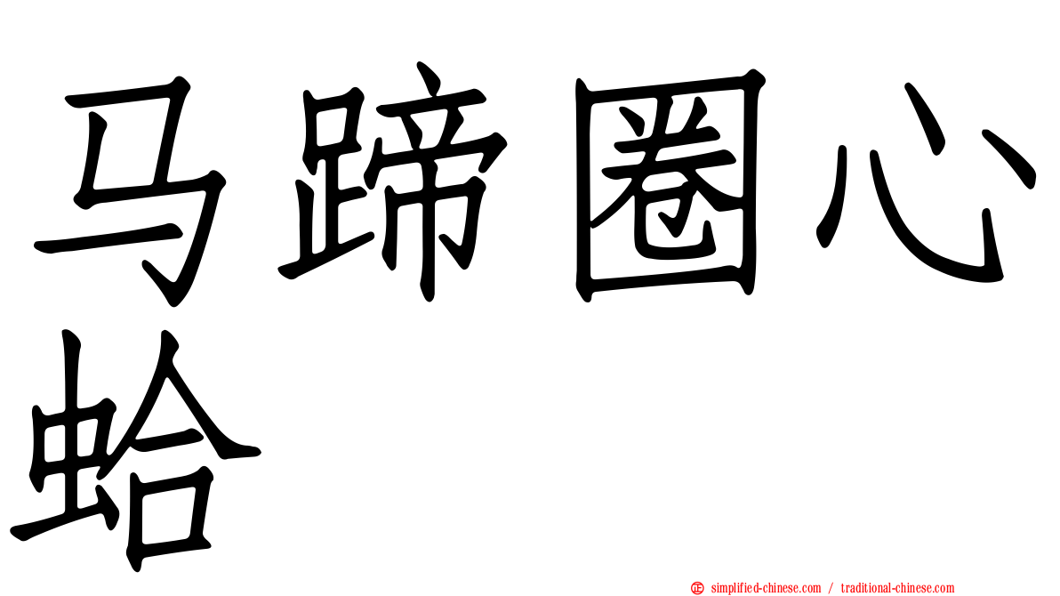 马蹄圈心蛤