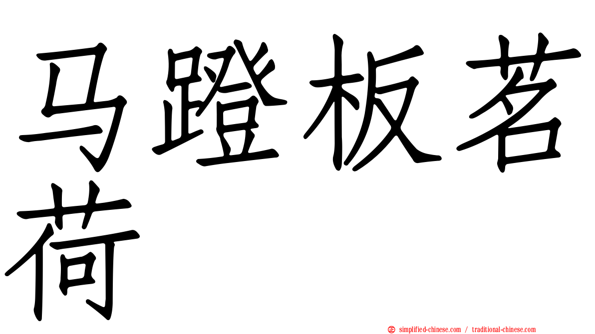 马蹬板茗荷