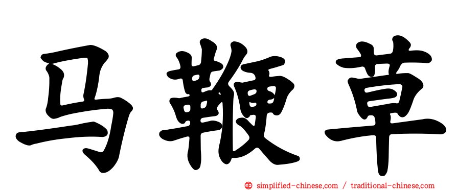 马鞭草