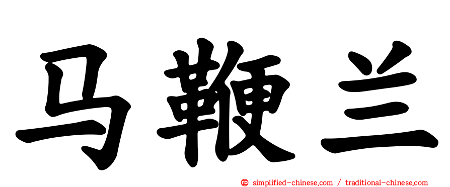 马鞭兰
