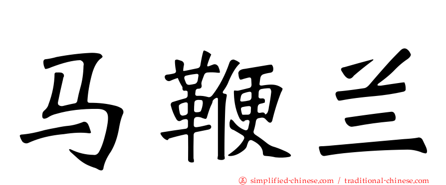 马鞭兰