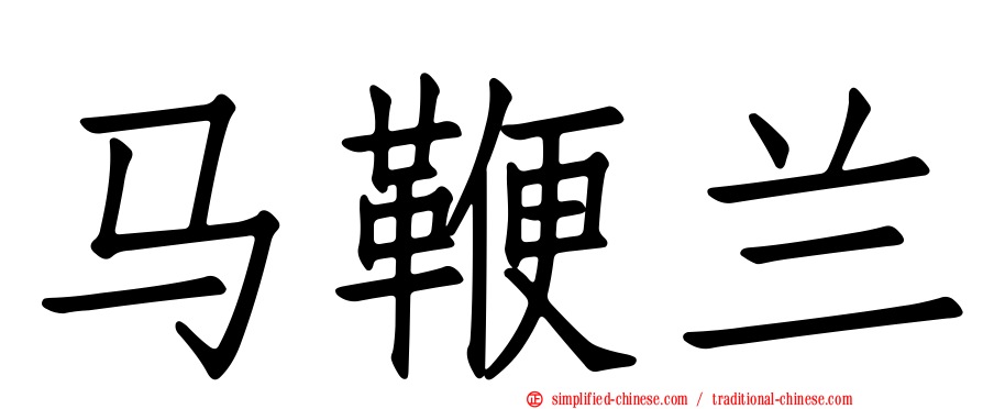 马鞭兰