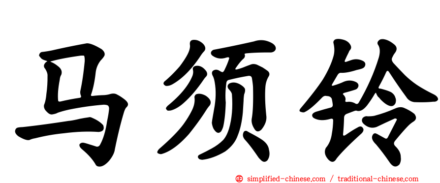 马须铃