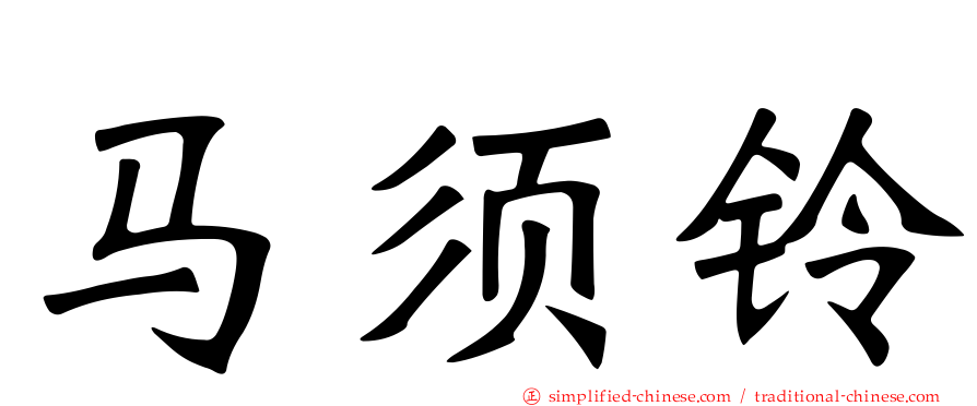 马须铃