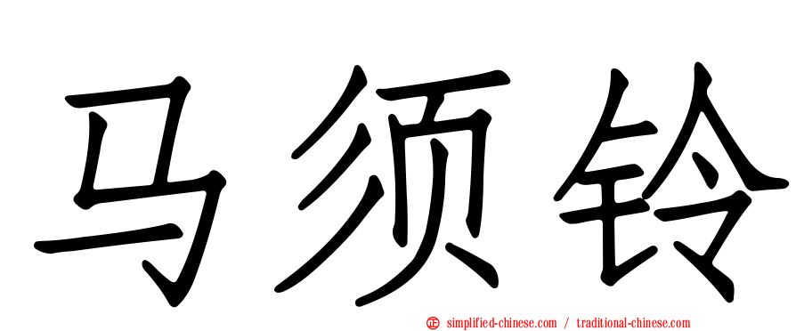 马须铃