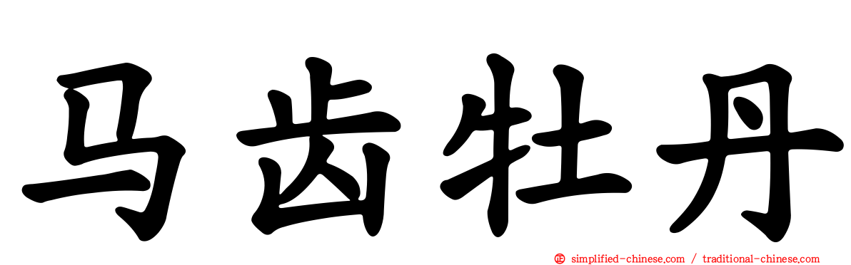 马齿牡丹