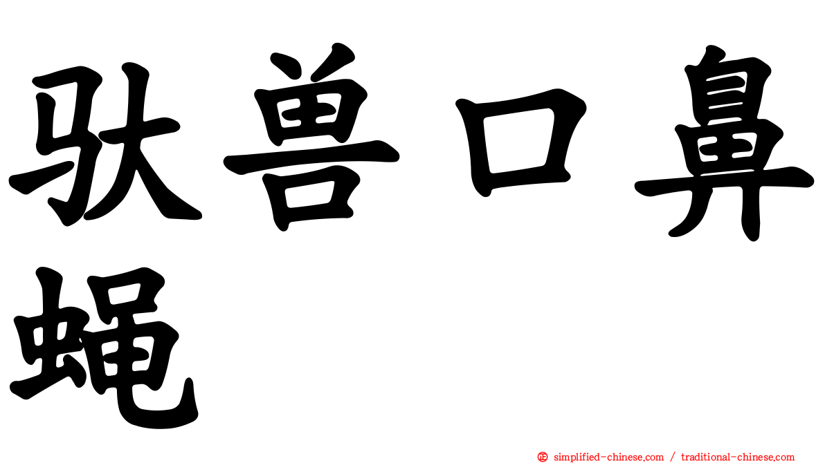 驮兽口鼻蝇