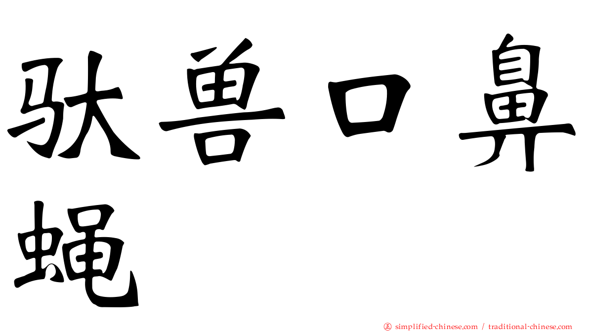 驮兽口鼻蝇
