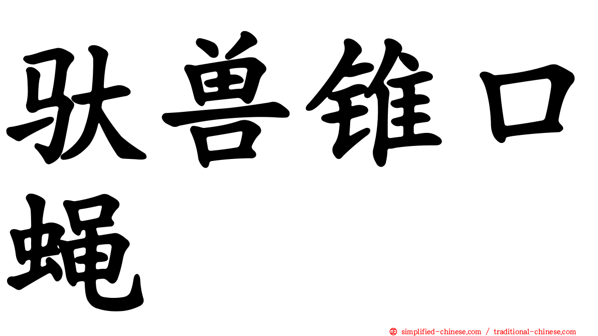 驮兽锥口蝇