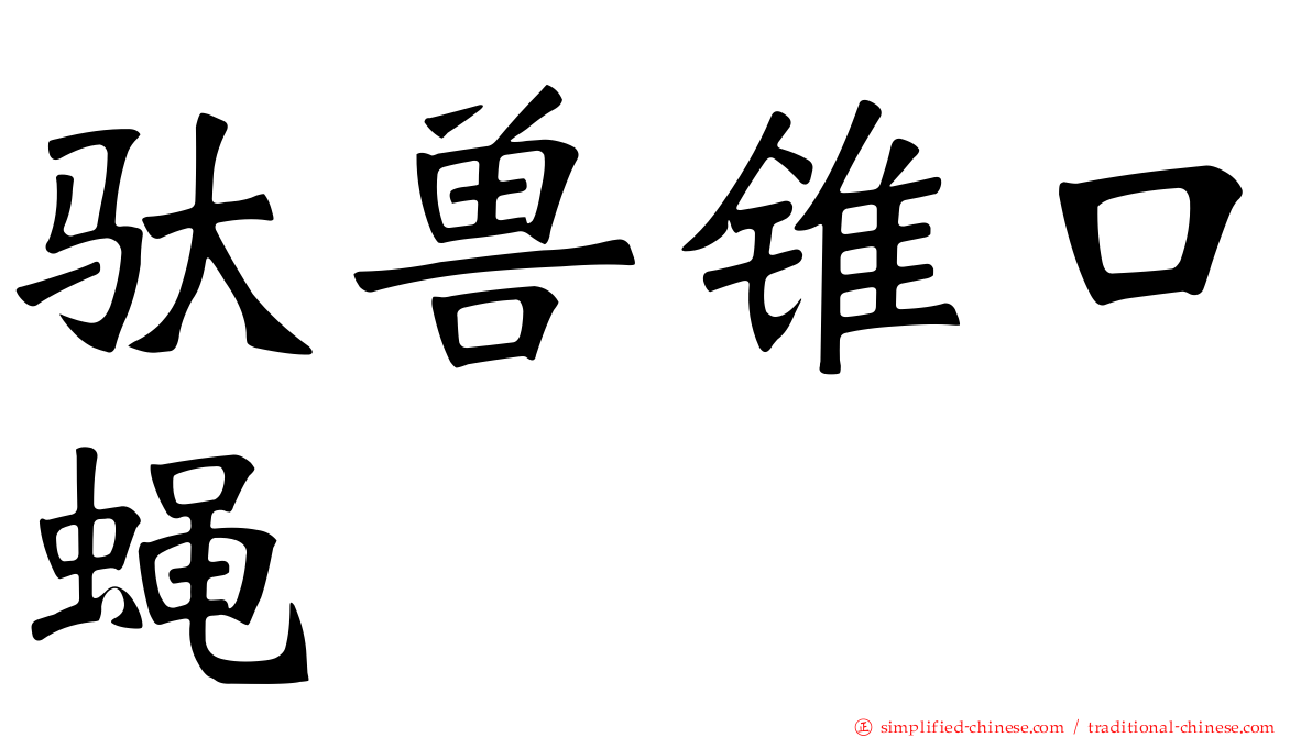 驮兽锥口蝇