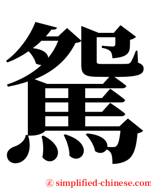 駌 serif font