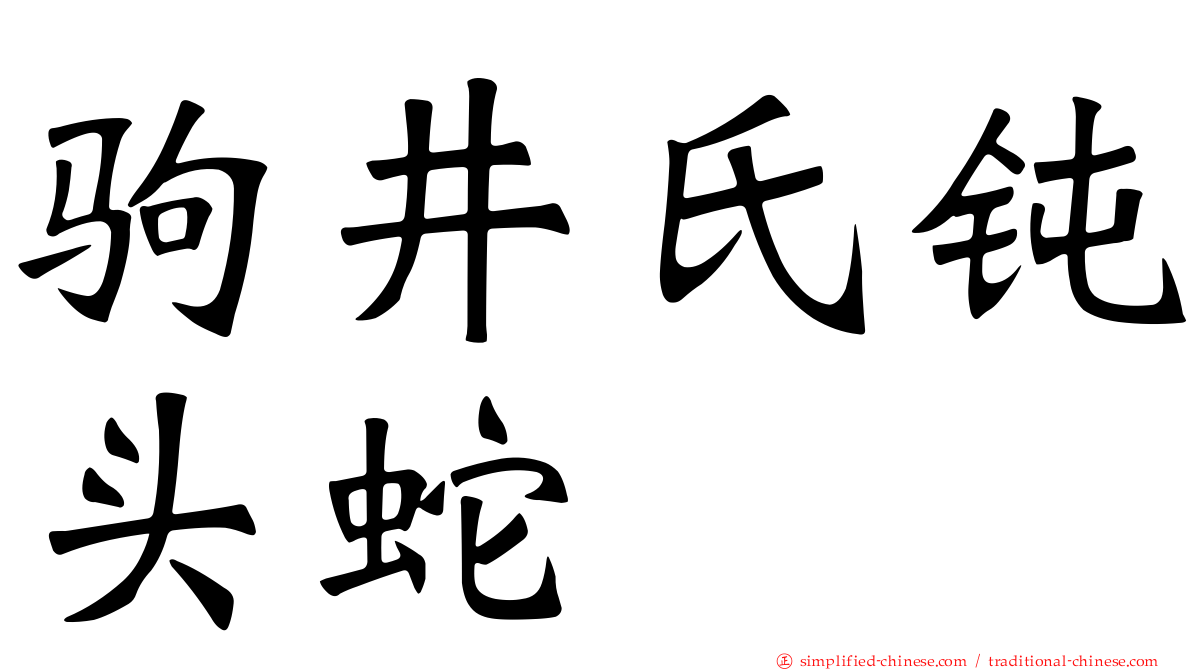 驹井氏钝头蛇