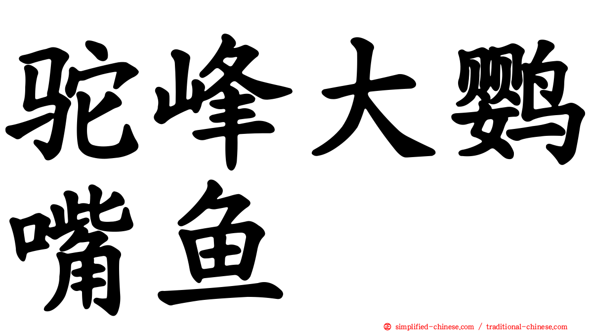 驼峰大鹦嘴鱼