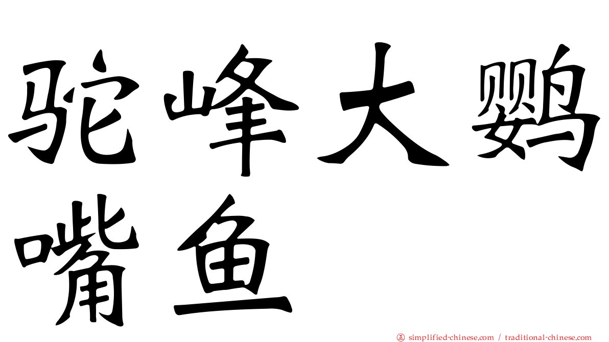 驼峰大鹦嘴鱼