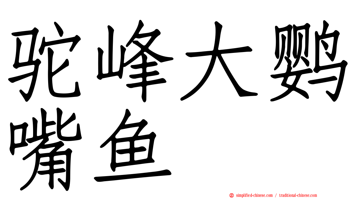 驼峰大鹦嘴鱼