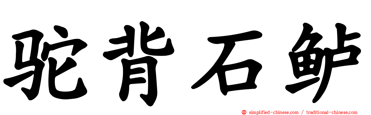 驼背石鲈