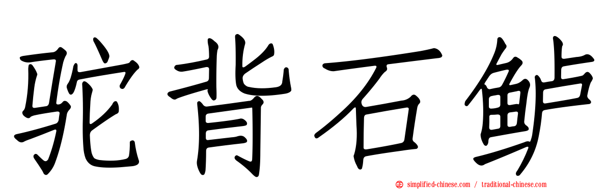 驼背石鲈