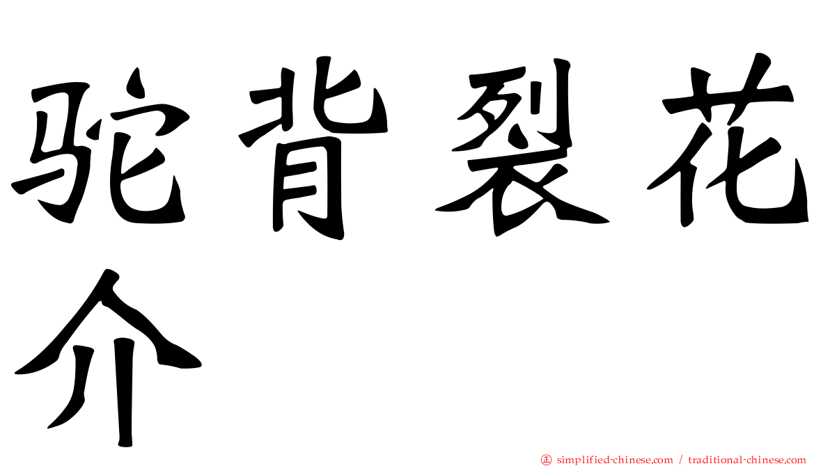 驼背裂花介