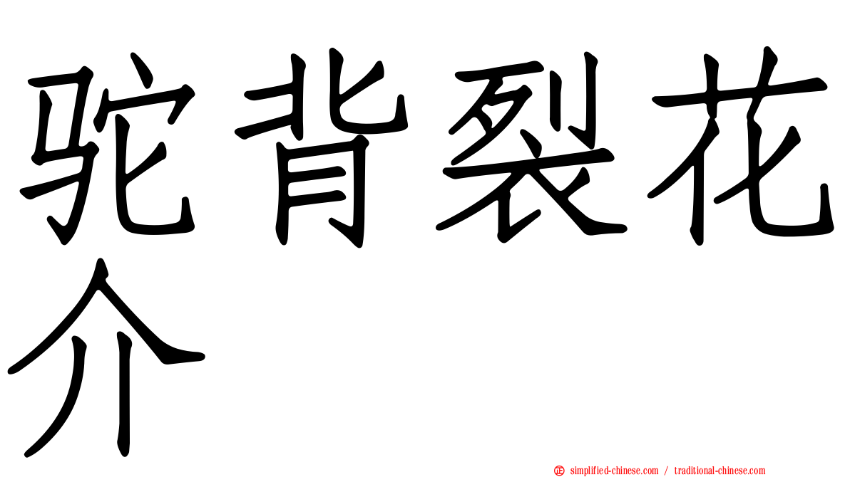 驼背裂花介