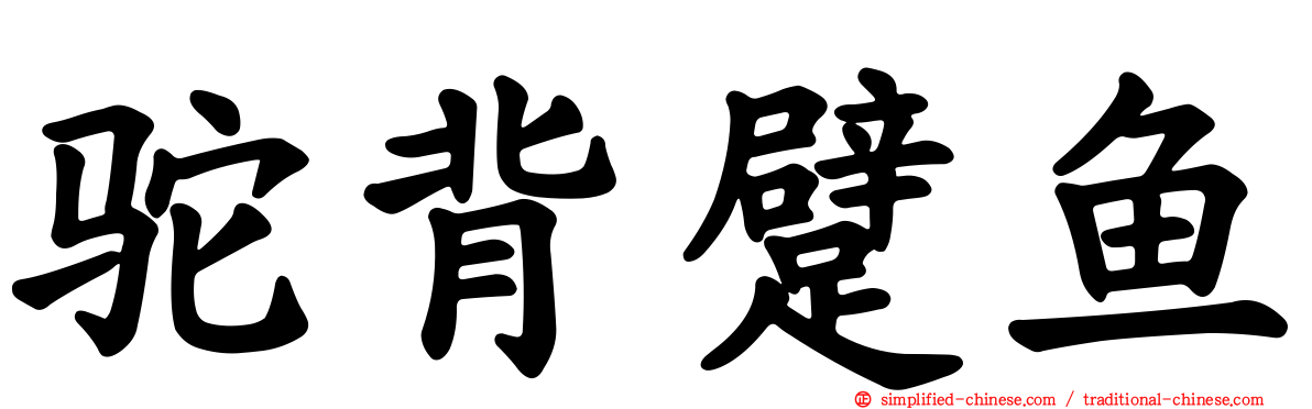 驼背躄鱼