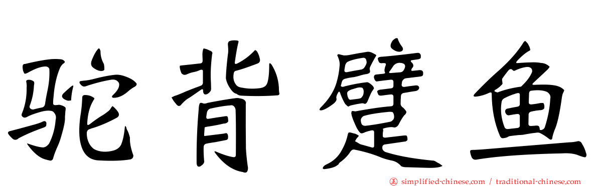 驼背躄鱼