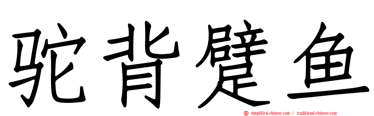 驼背躄鱼