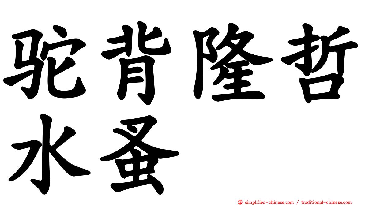 驼背隆哲水蚤
