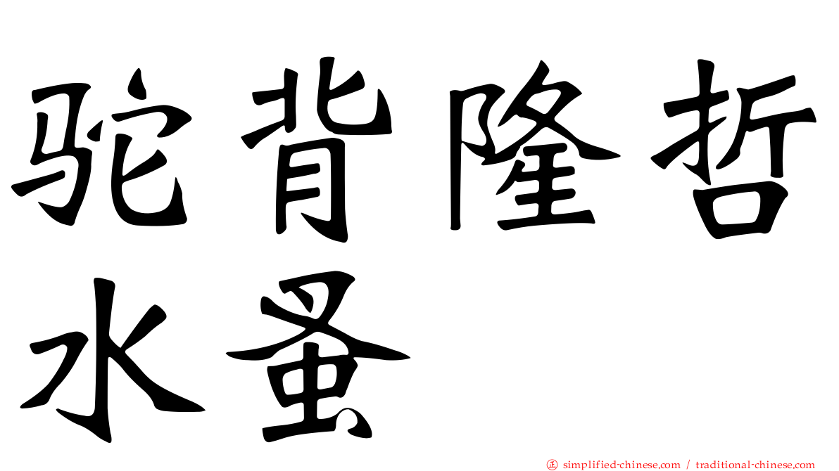 驼背隆哲水蚤