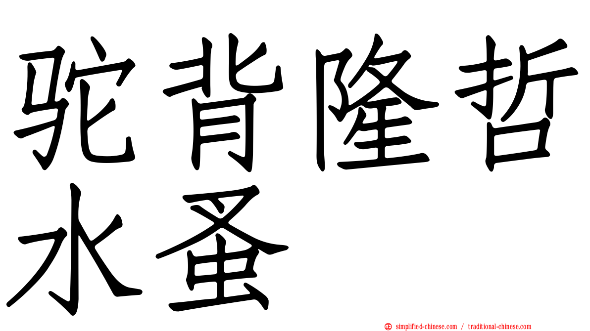 驼背隆哲水蚤