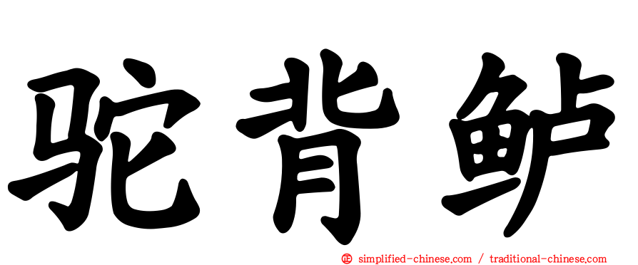 驼背鲈