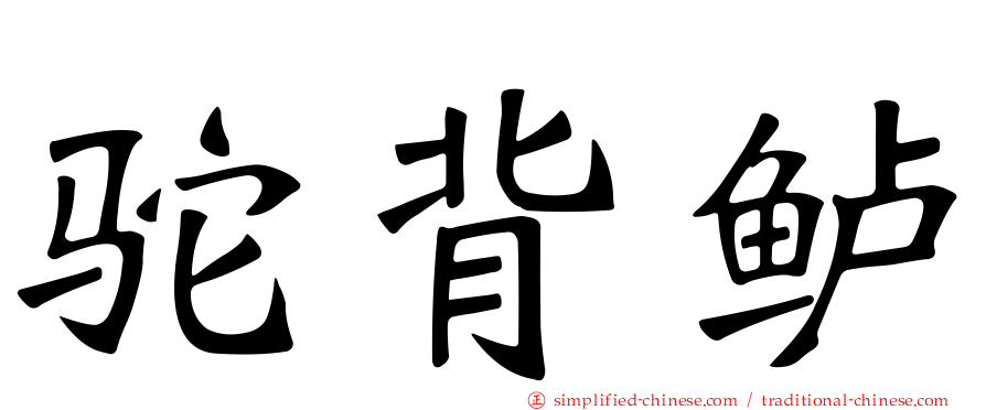 驼背鲈
