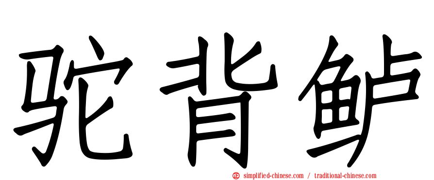 驼背鲈