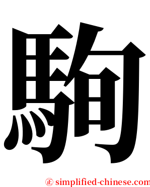 駨 serif font