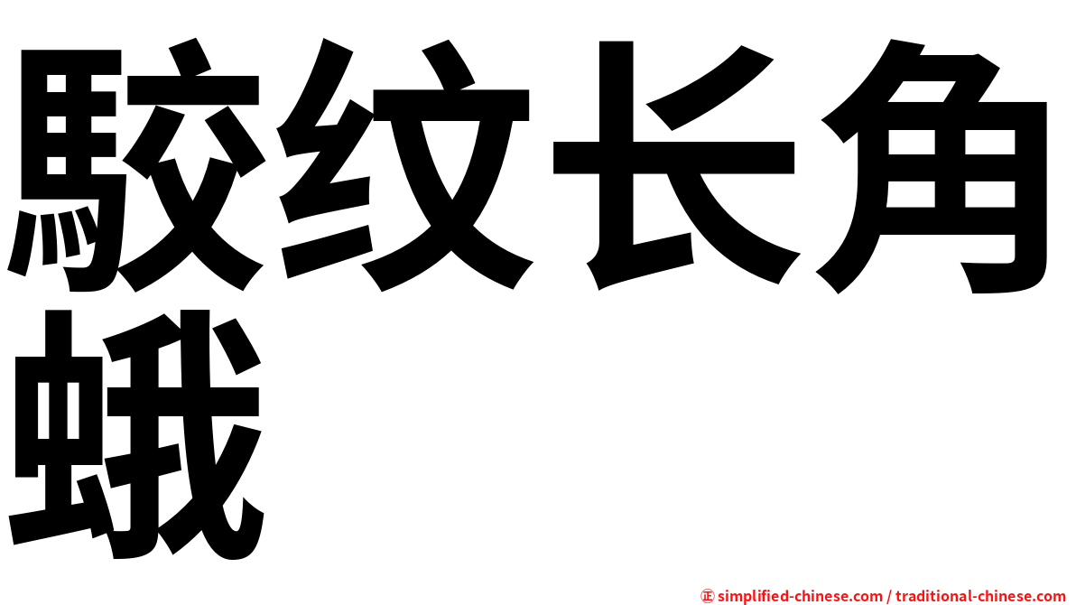 駮纹长角蛾