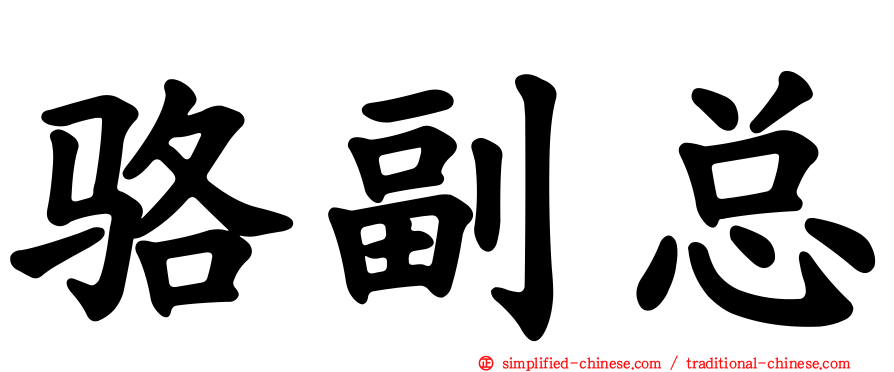 骆副总
